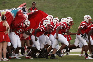 九游官方-全国青少年长跑赛在南京掀起跑步热潮，青少年长跑标准