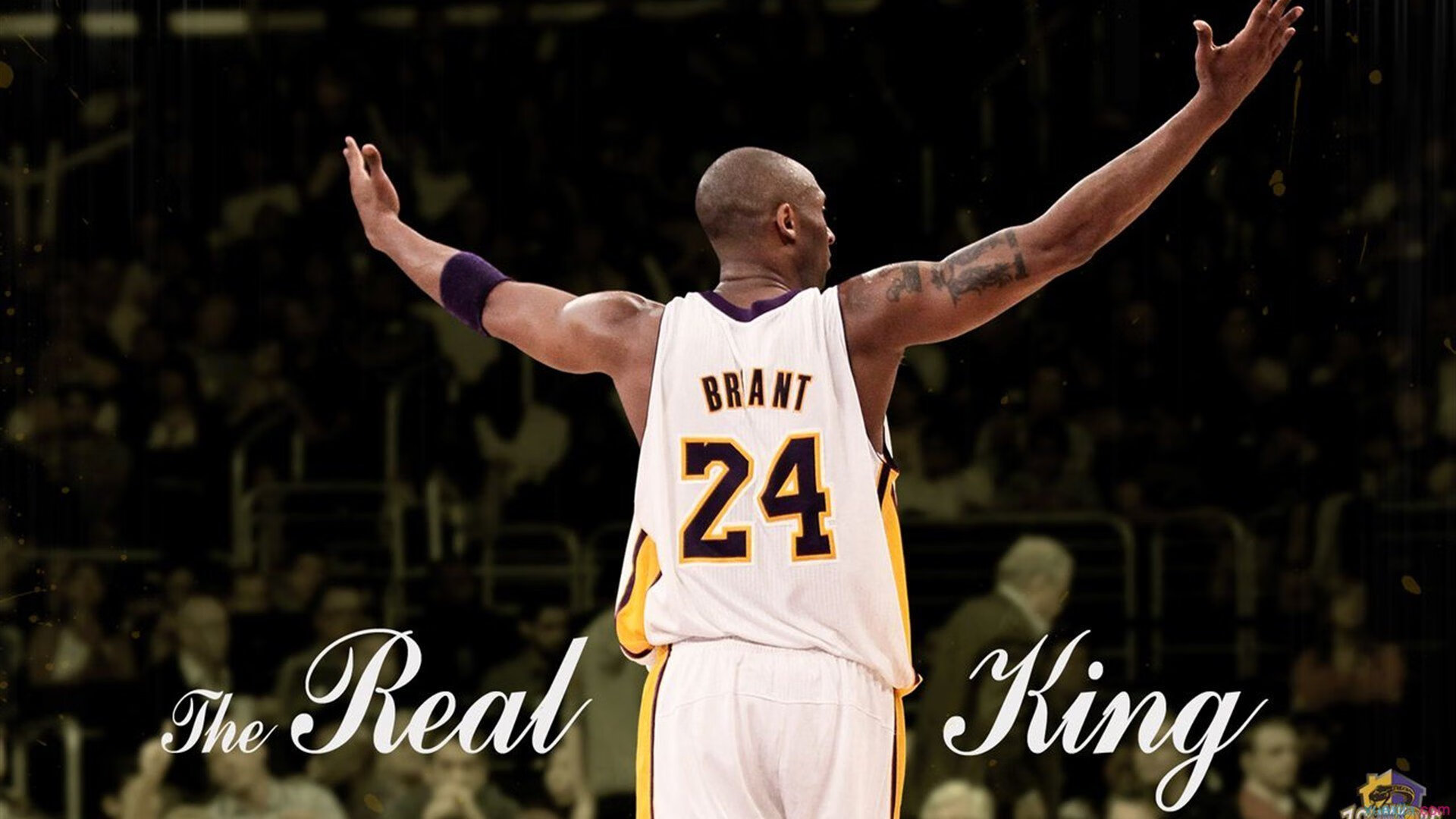 篮球赛事直播技术发展趋势分析,篮球直播应用