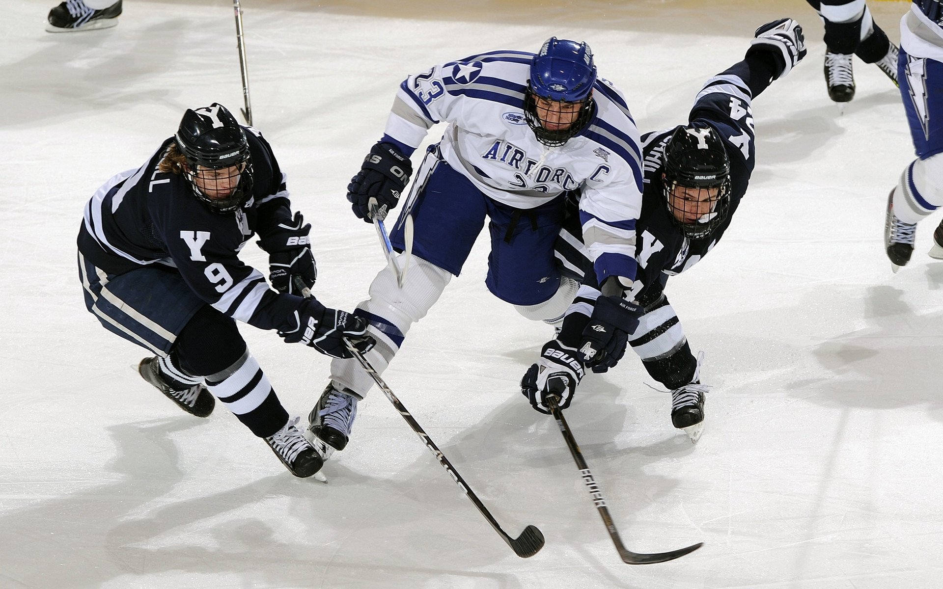 辽宁飞豹队内气氛积极良性竞争提升战力，辽宁飞豹队标
